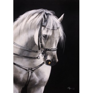 Irfan Ahmed, 24 x 36 Inch, Oil on Canvas, Horse Painting, AC-IRA-034